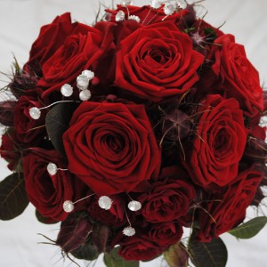  - flor_20DSC_0103