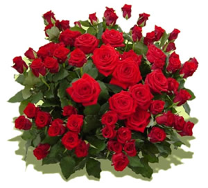 Blumensträuße - Rote Rosen