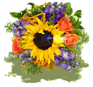Blumensträuße - Gratulation