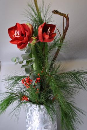 Blumensträuße - weihnachtliche Amaryllis