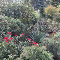 Bewässerungsanlagen - Bewässerungsanlagen -