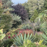 Bewässerungsanlagen - Bewässerungsanlagen -